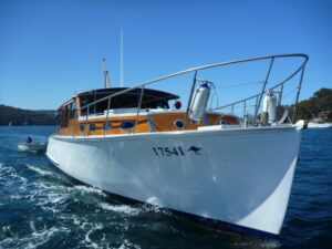 Kangaroo on Pittwater