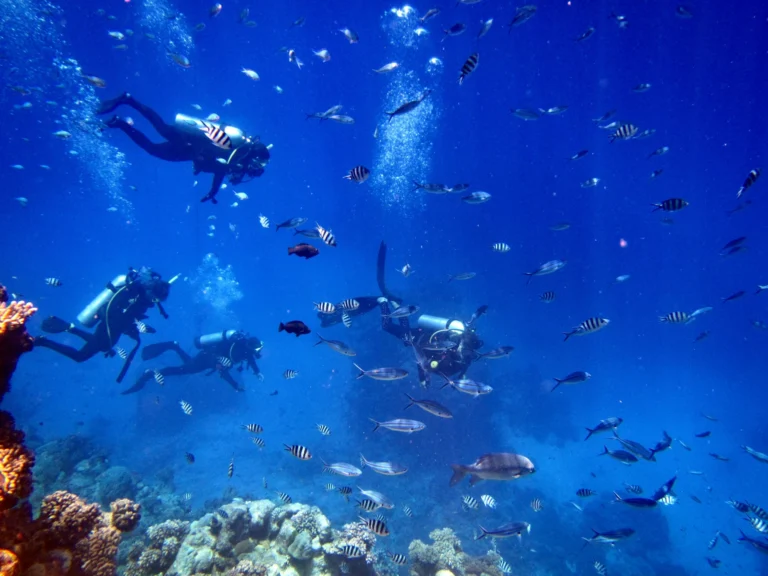 Explore Reef Adventures
