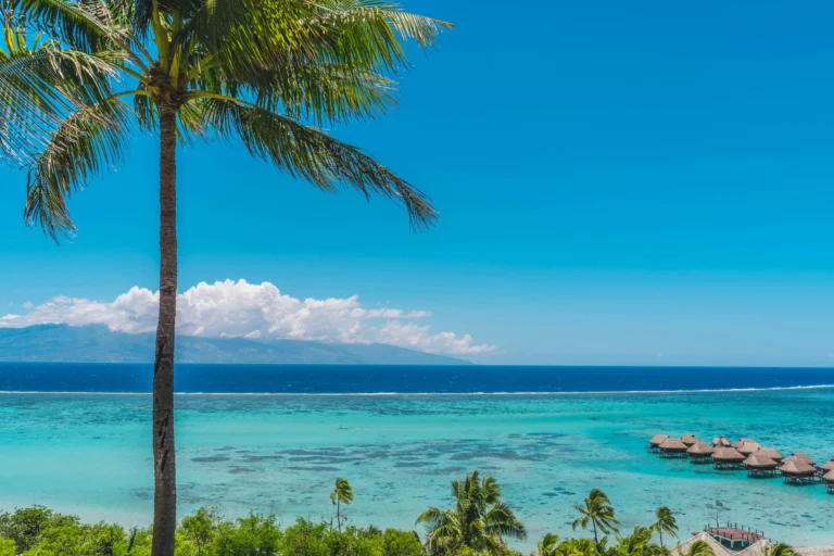 Moorea Cruise Guide