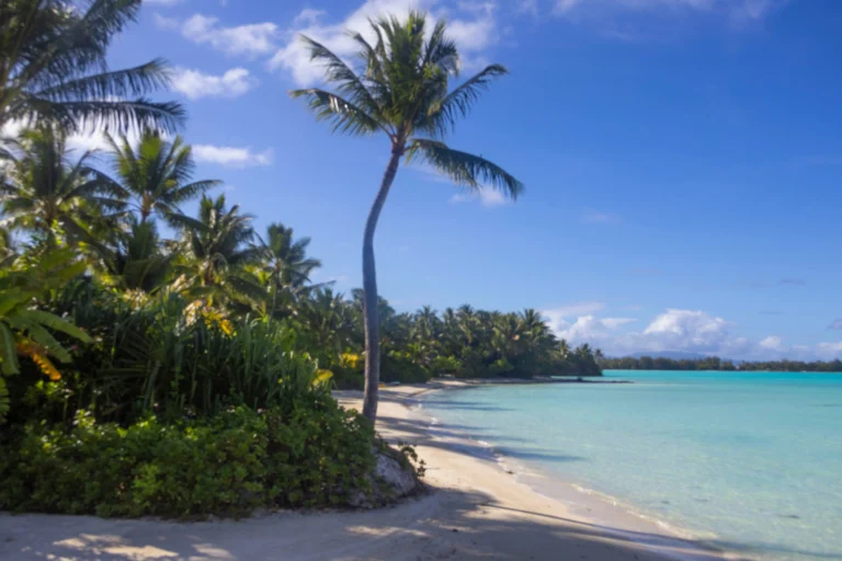 Weeklong Tahiti Adventure